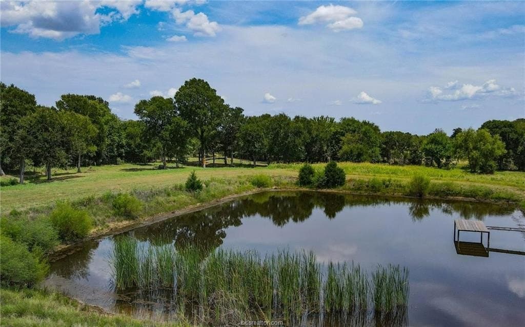 54.5 acres in Burleson County - photo 10