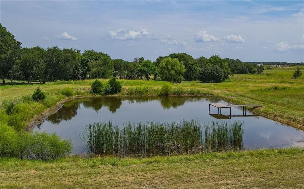 54.5 acres in Burleson County - photo 9