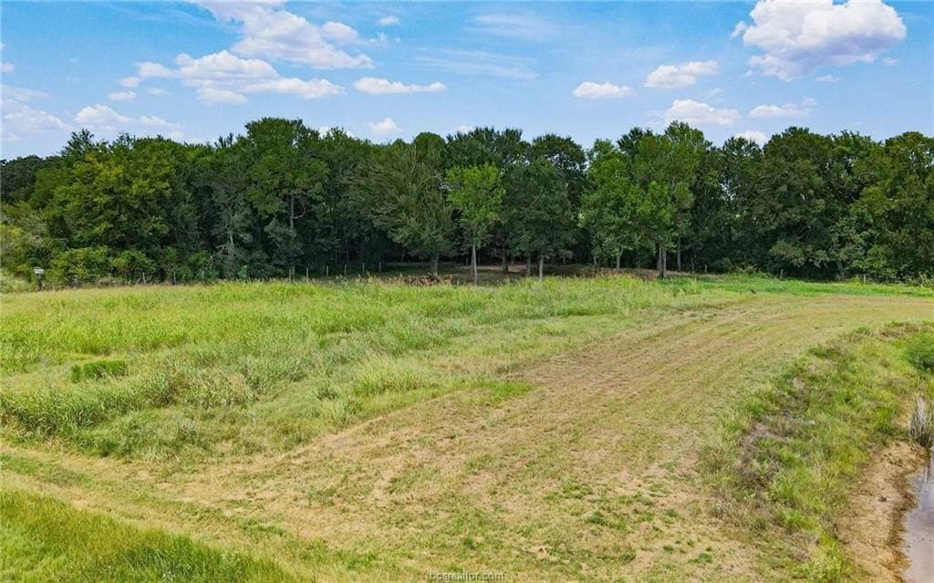54.5 acres in Burleson County - photo 12
