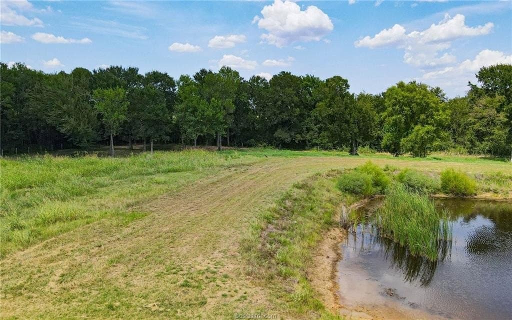 54.5 acres in Burleson County - photo 8