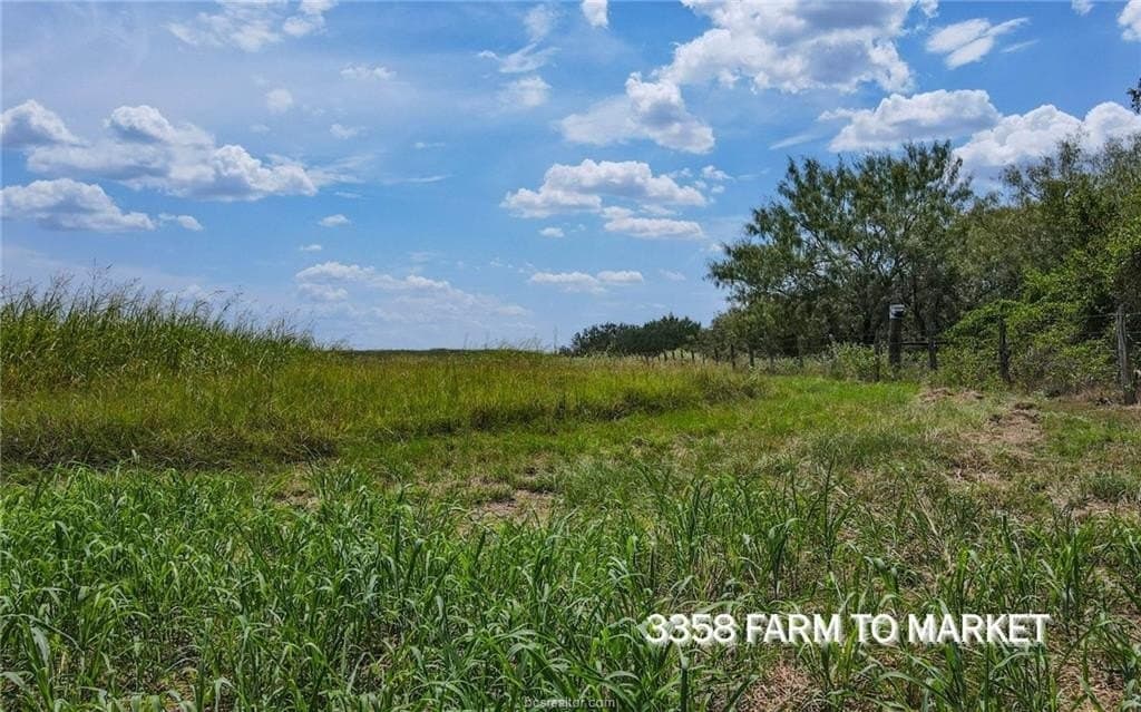 54.5 acres in Burleson County featured view
