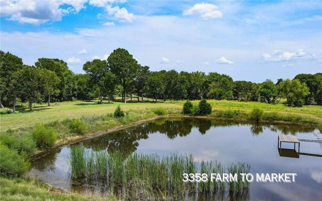 54.5 acres in Burleson County gallery image 3