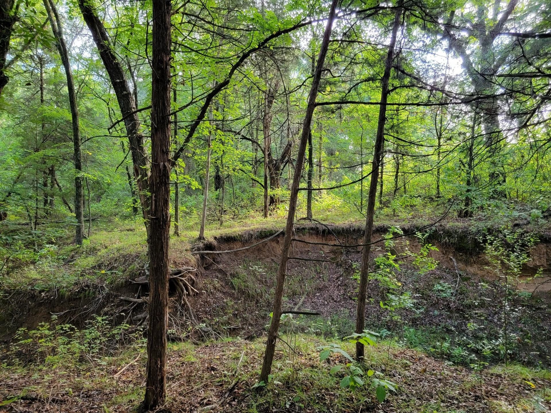 25 acres in Cooke County featured view