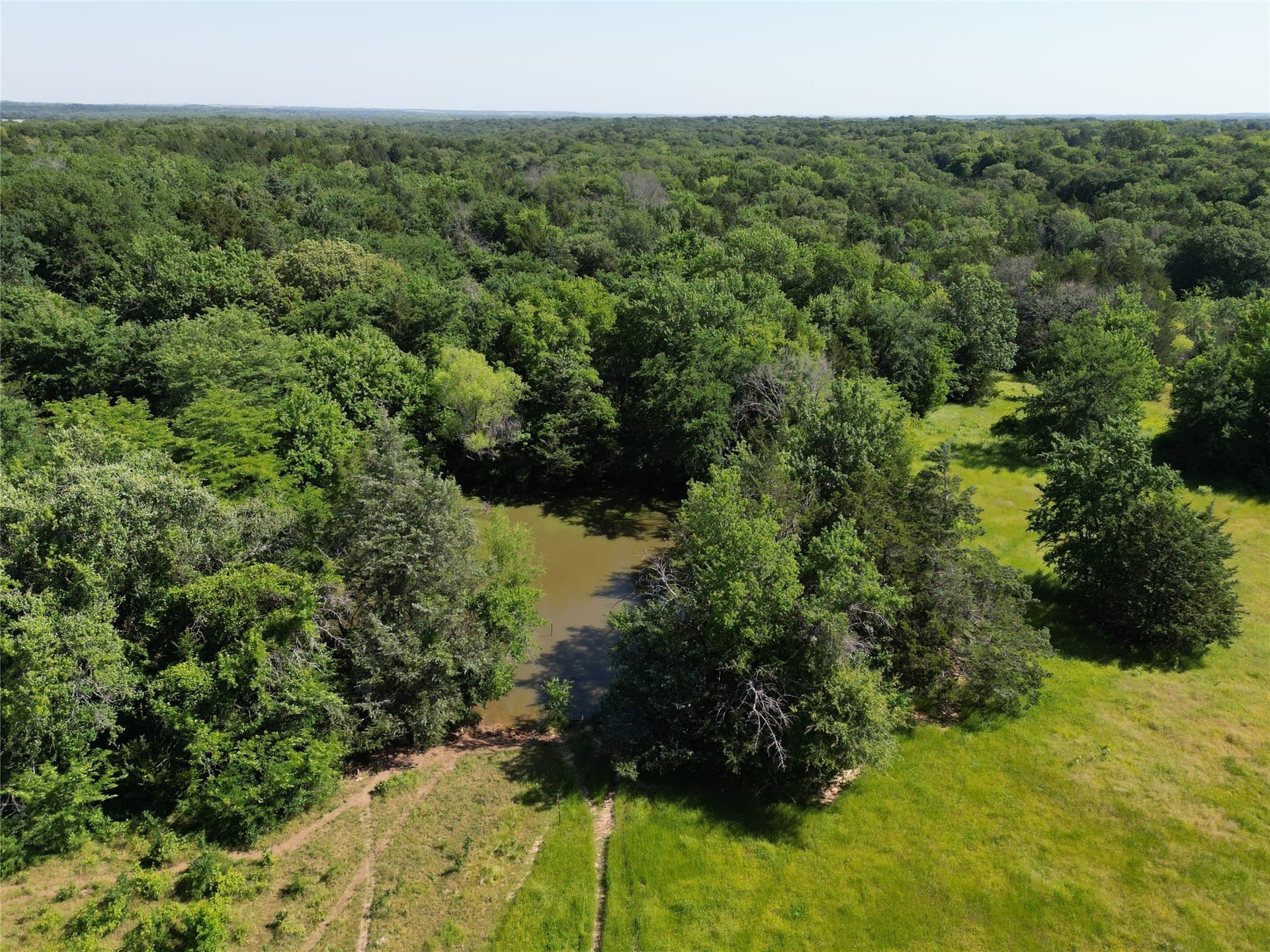 25 acres in Cooke County gallery image 2