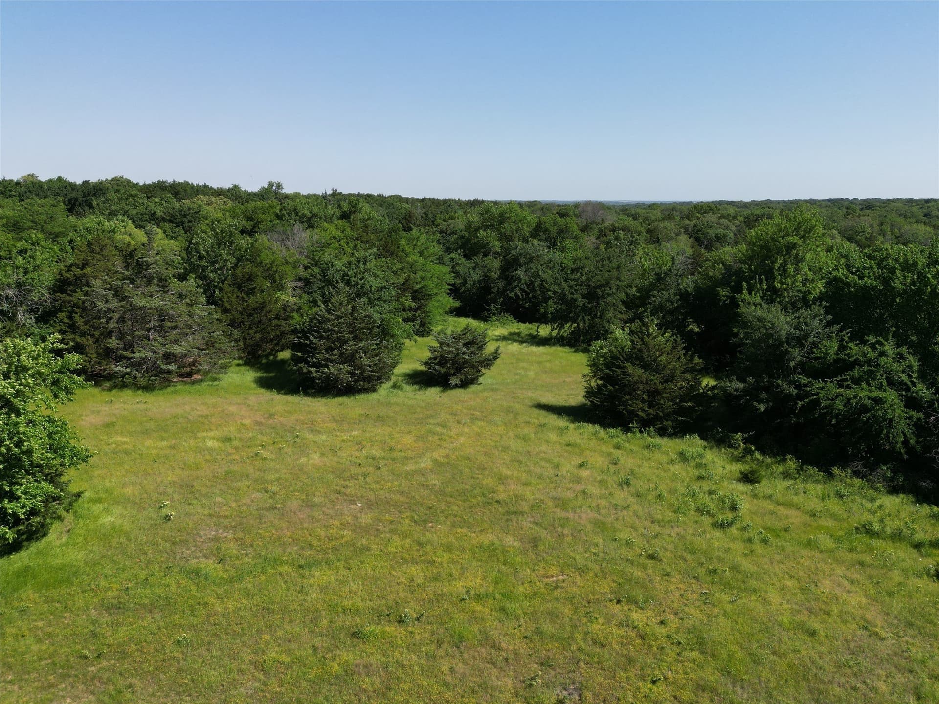 25 acres in Cooke County - photo 14