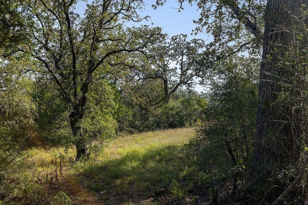 48.85 acres in Fayette County - photo 24