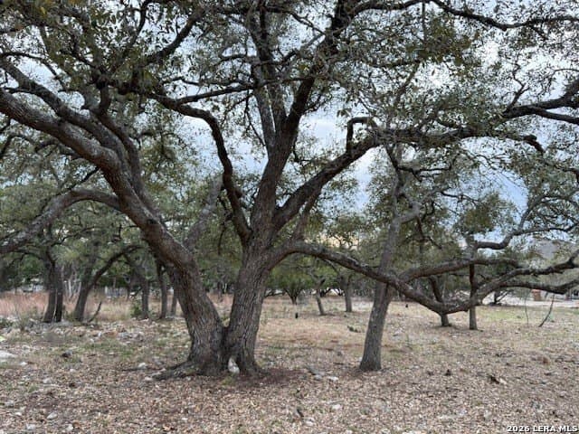 0.25 acres in Blanco County gallery image 2