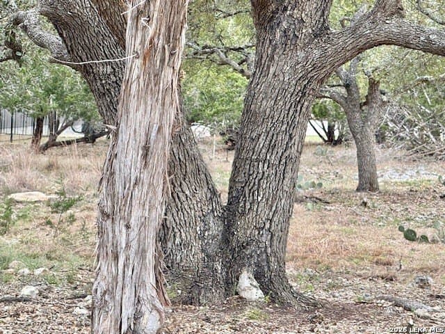 0.25 acres in Blanco County - photo 11
