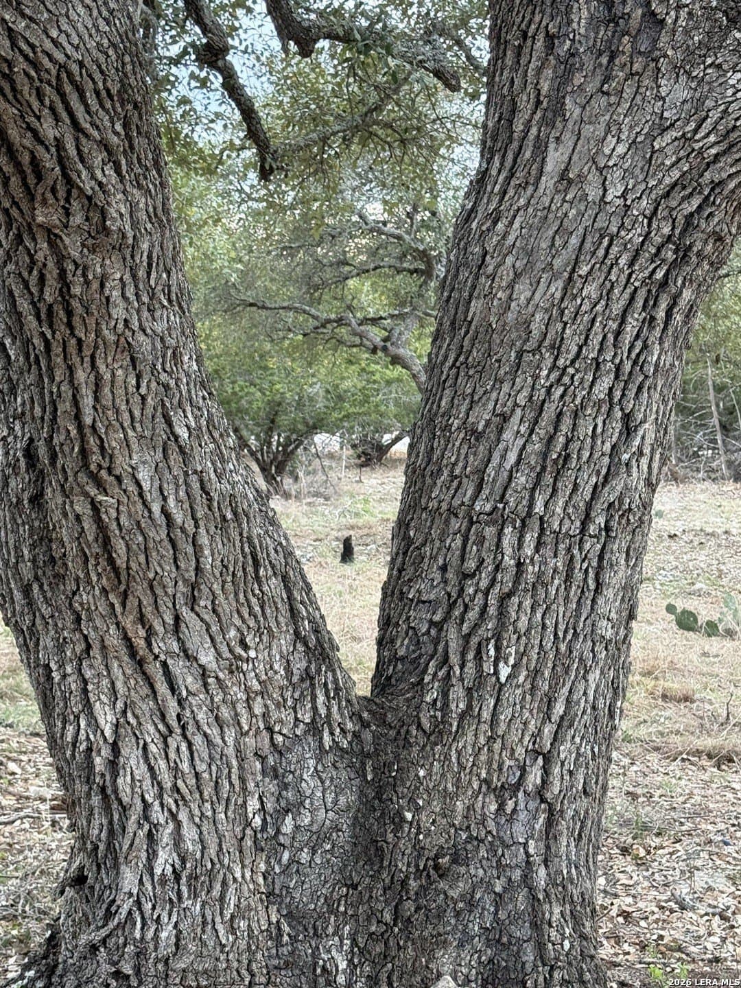 0.26 acres in Blanco County - photo 23