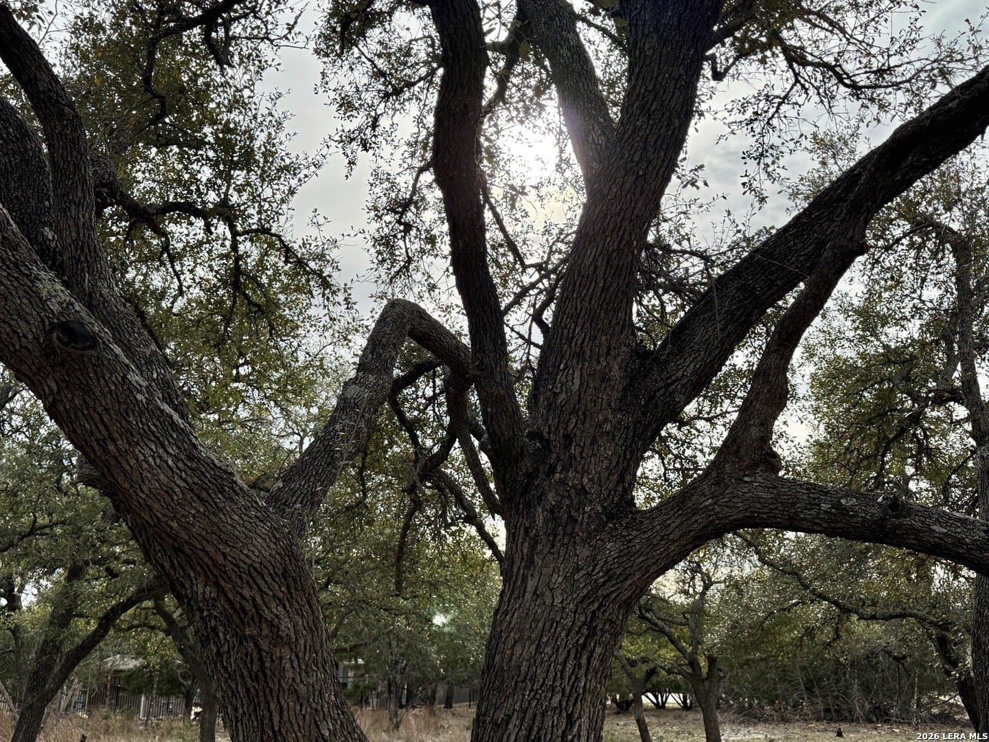0.26 acres in Blanco County - photo 15
