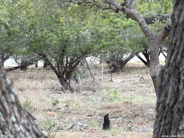 0.25 acres in Blanco County - photo 8