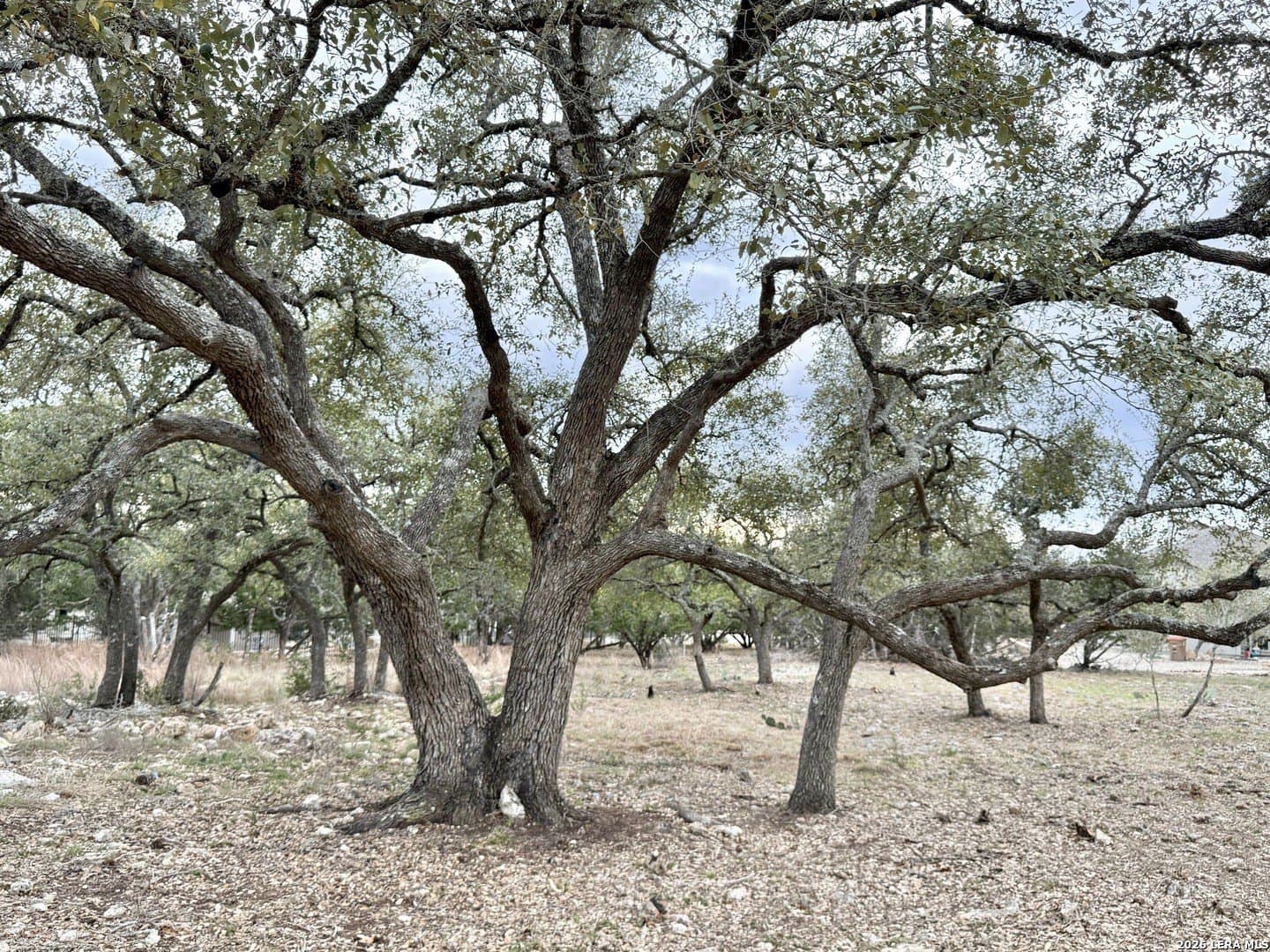 0.26 acres in Blanco County - photo 5