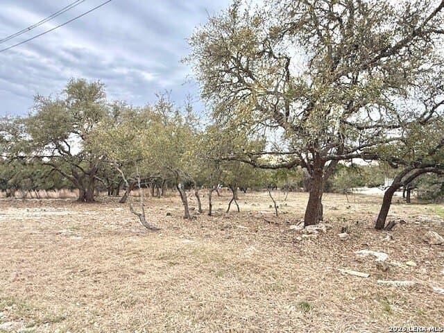 0.25 acres in Blanco County - photo 9