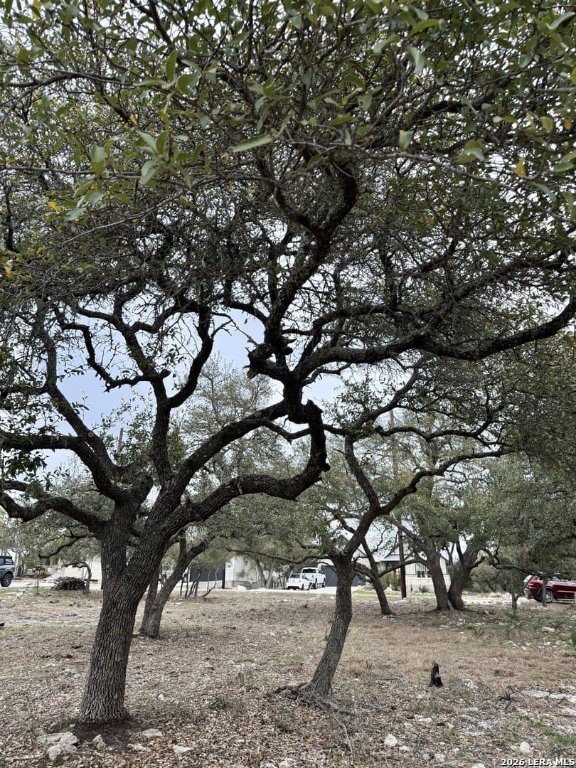 0.26 acres in Blanco County - photo 9