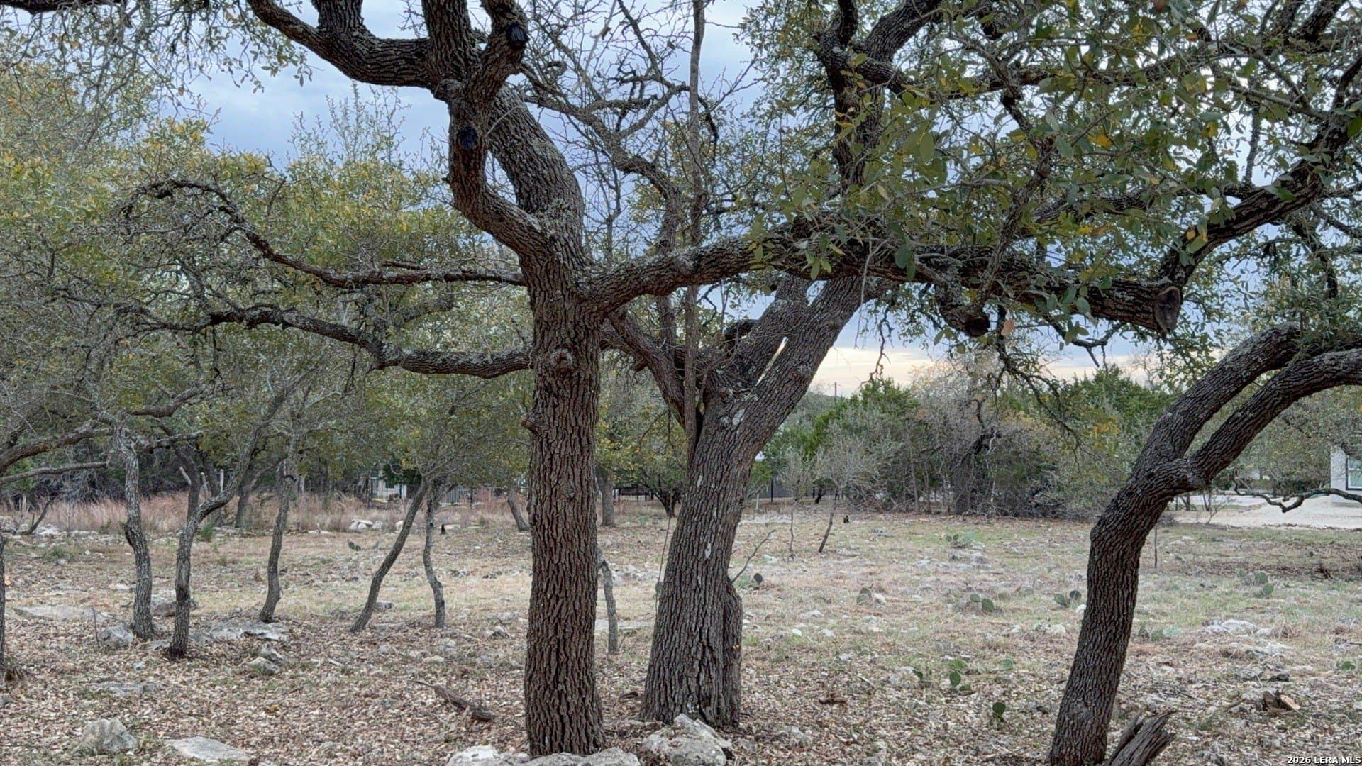 0.26 acres in Blanco County - photo 25
