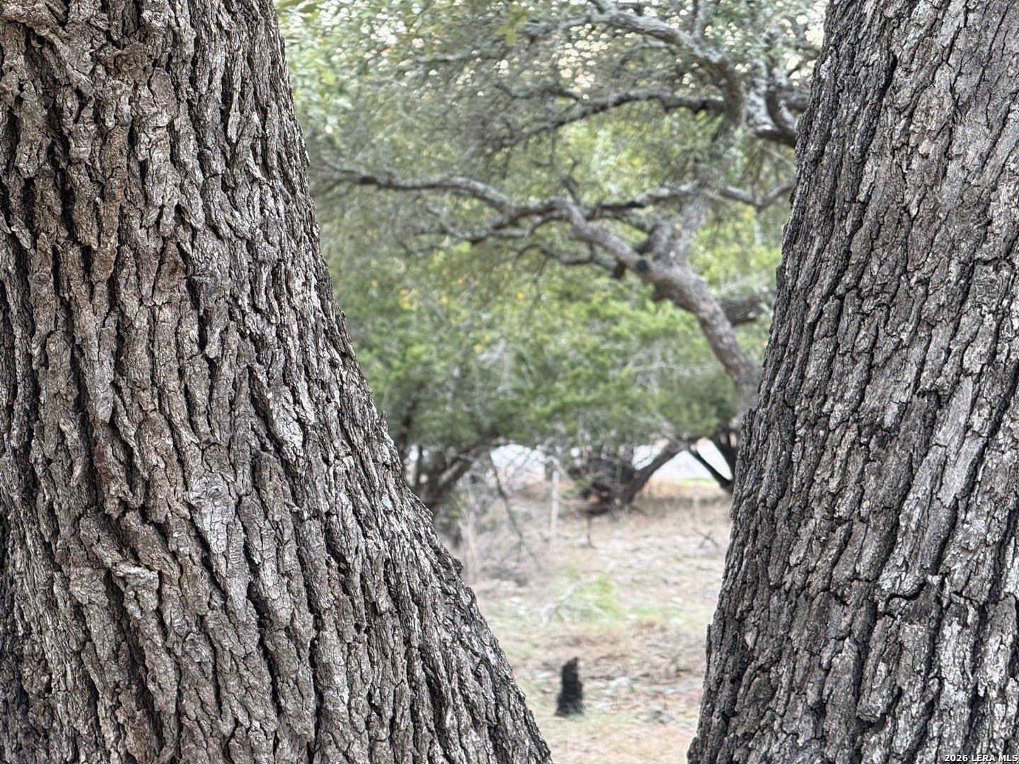 0.26 acres in Blanco County - photo 24