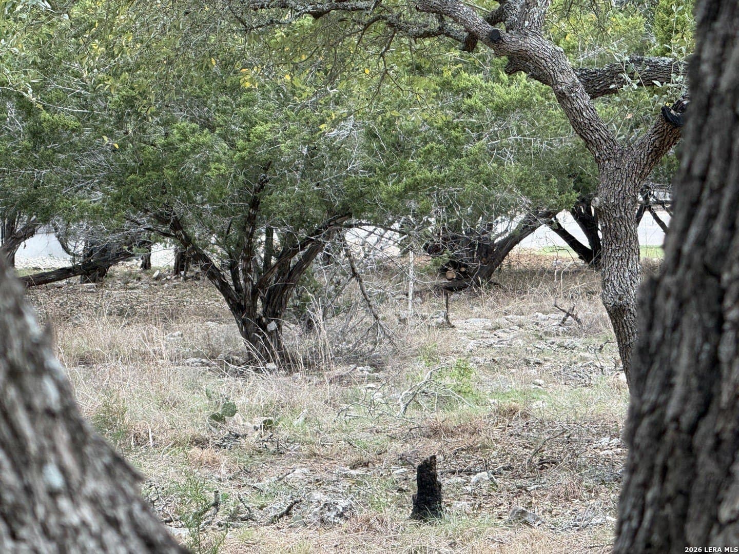 0.26 acres in Blanco County - photo 21