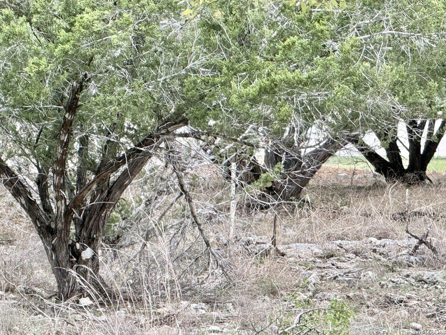 0.26 acres in Blanco County - photo 6