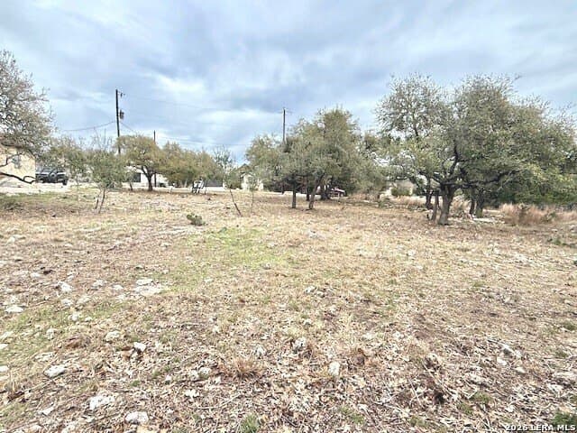 0.25 acres in Blanco County - photo 7