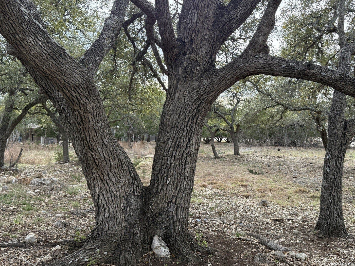 0.26 acres in Blanco County - photo 14