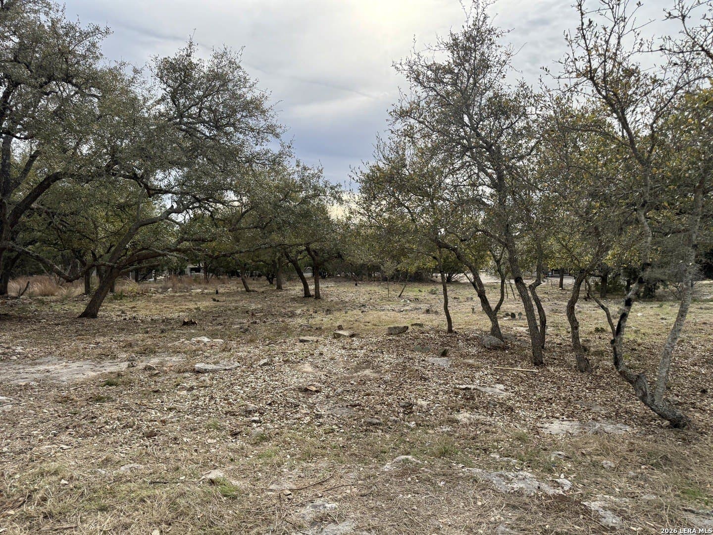 0.26 acres in Blanco County - photo 12