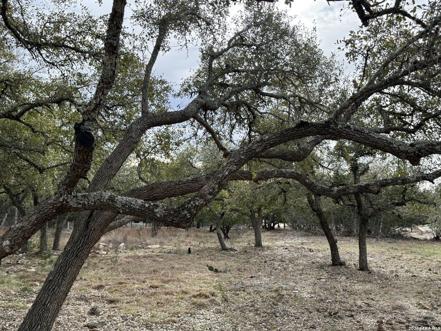 0.26 acres in Blanco County - photo 13