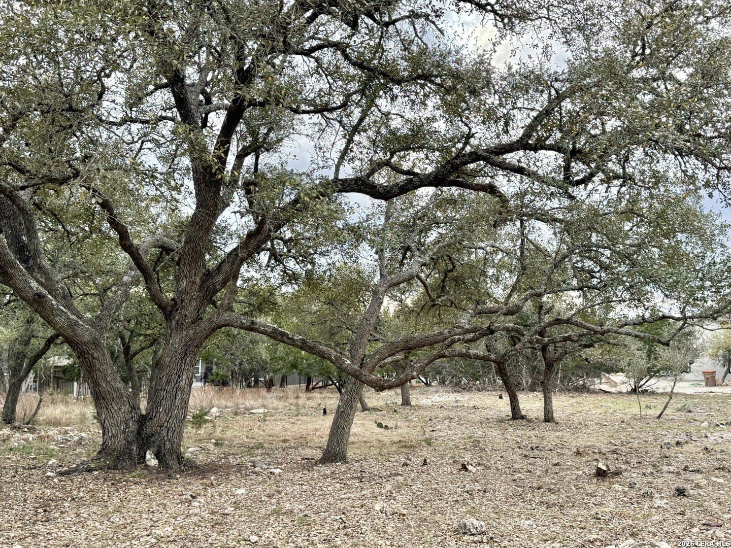 0.26 acres in Blanco County - photo 4