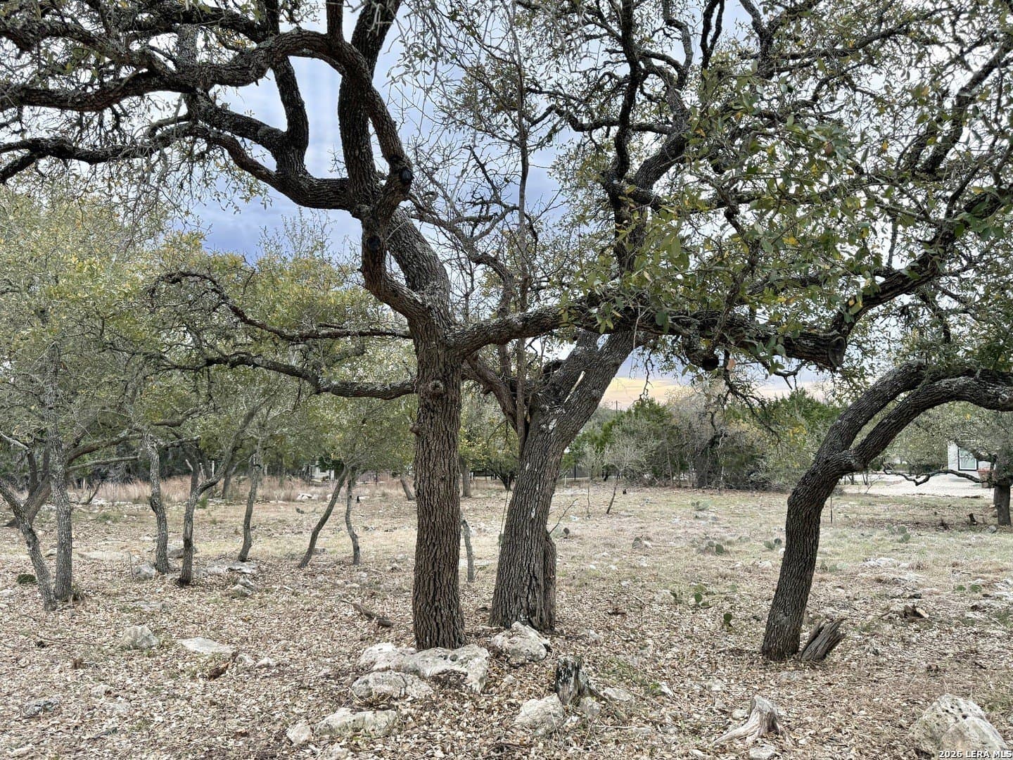 0.26 acres in Blanco County - photo 2