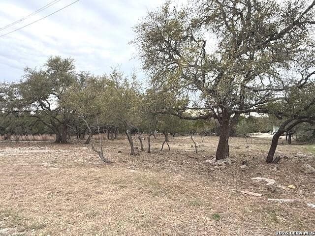 0.25 acres in Blanco County gallery image 4