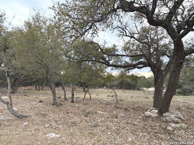 0.25 acres in Blanco County - photo 10