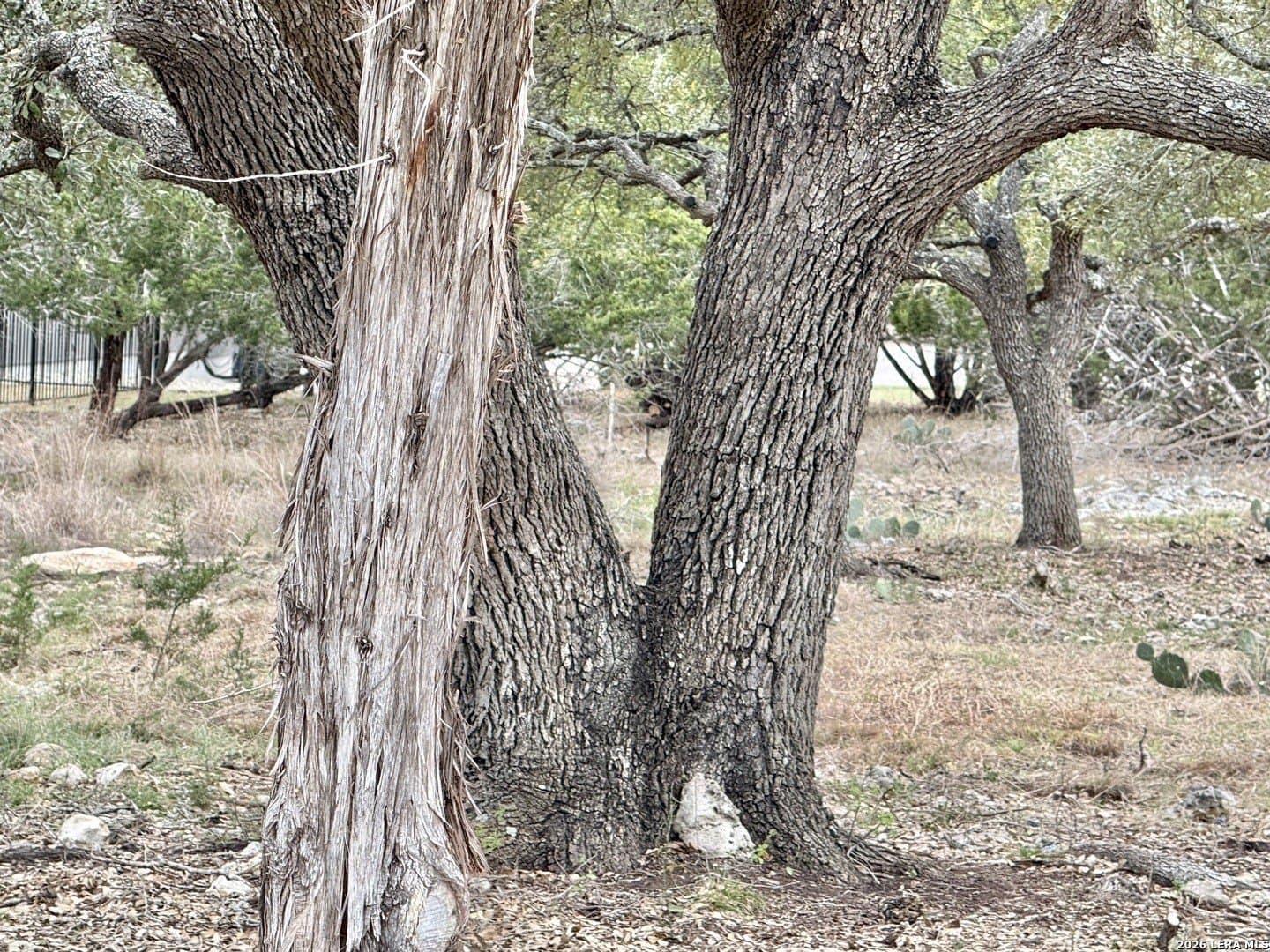 0.26 acres in Blanco County - photo 28