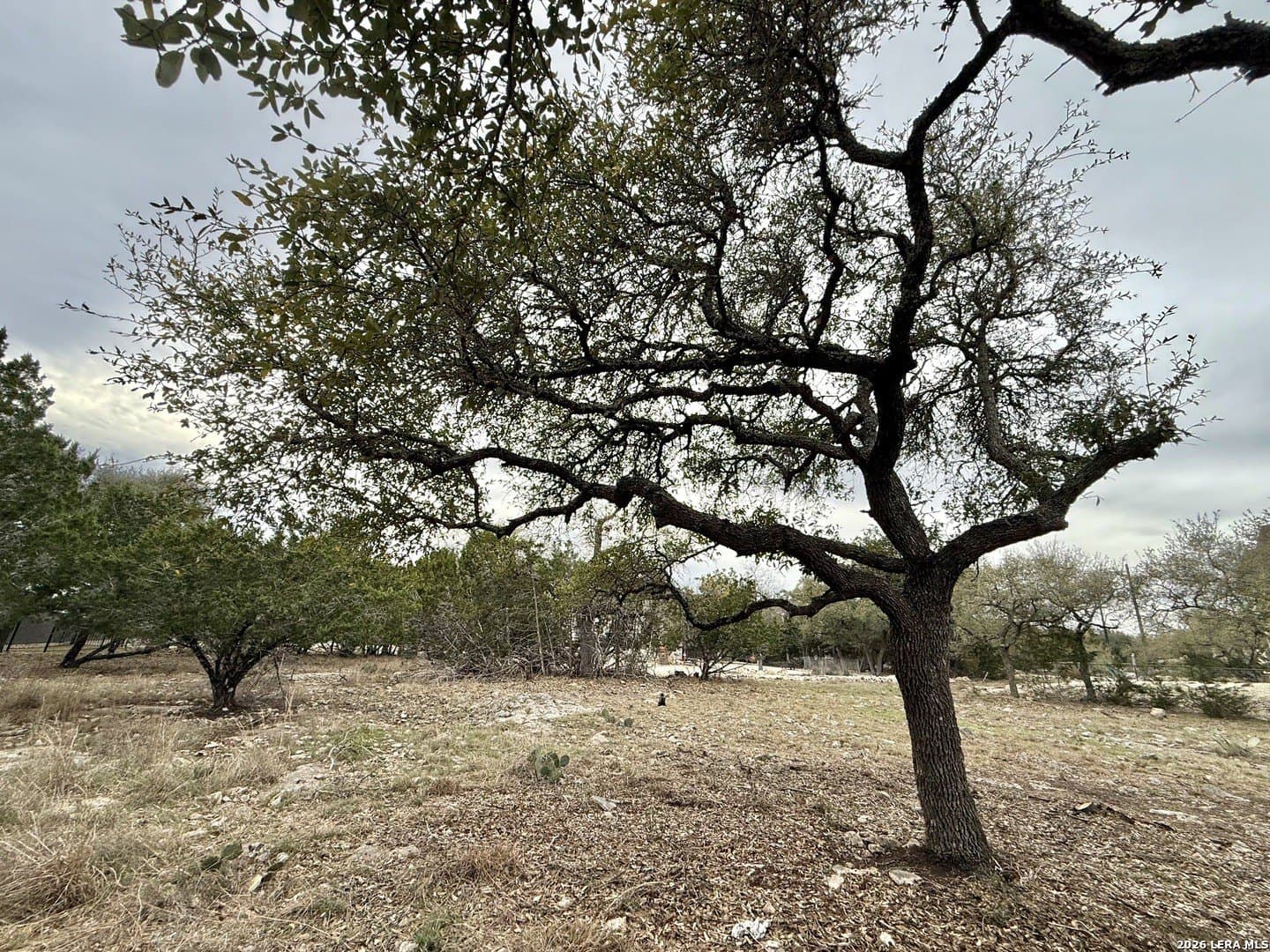 0.26 acres in Blanco County - photo 7