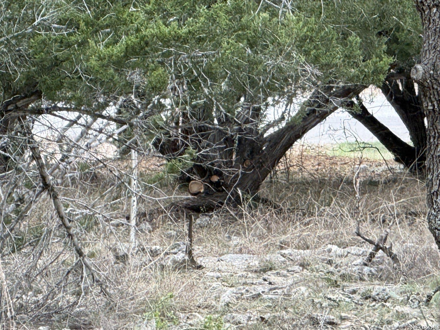 0.26 acres in Blanco County - photo 22
