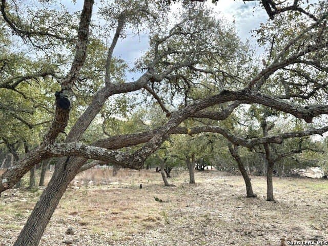 0.25 acres in Blanco County - photo 6