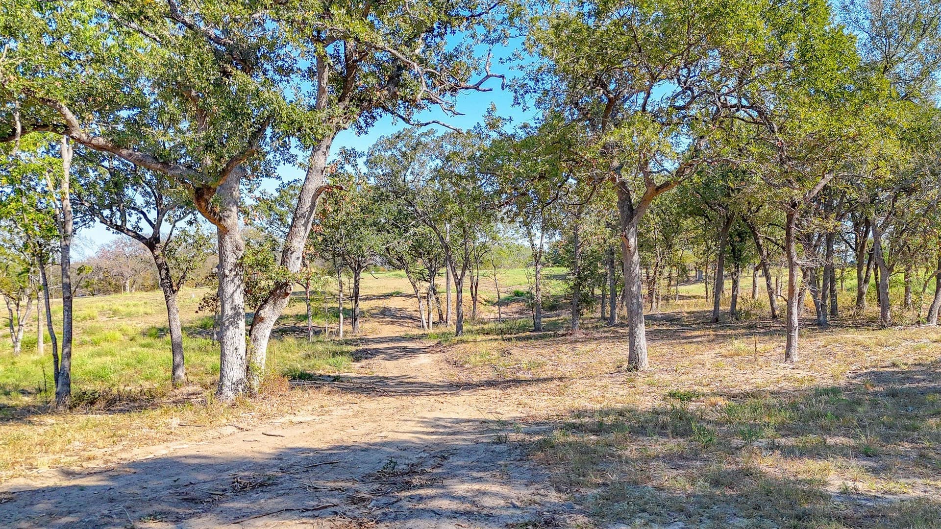 1.01 acres in Navarro County - photo 11