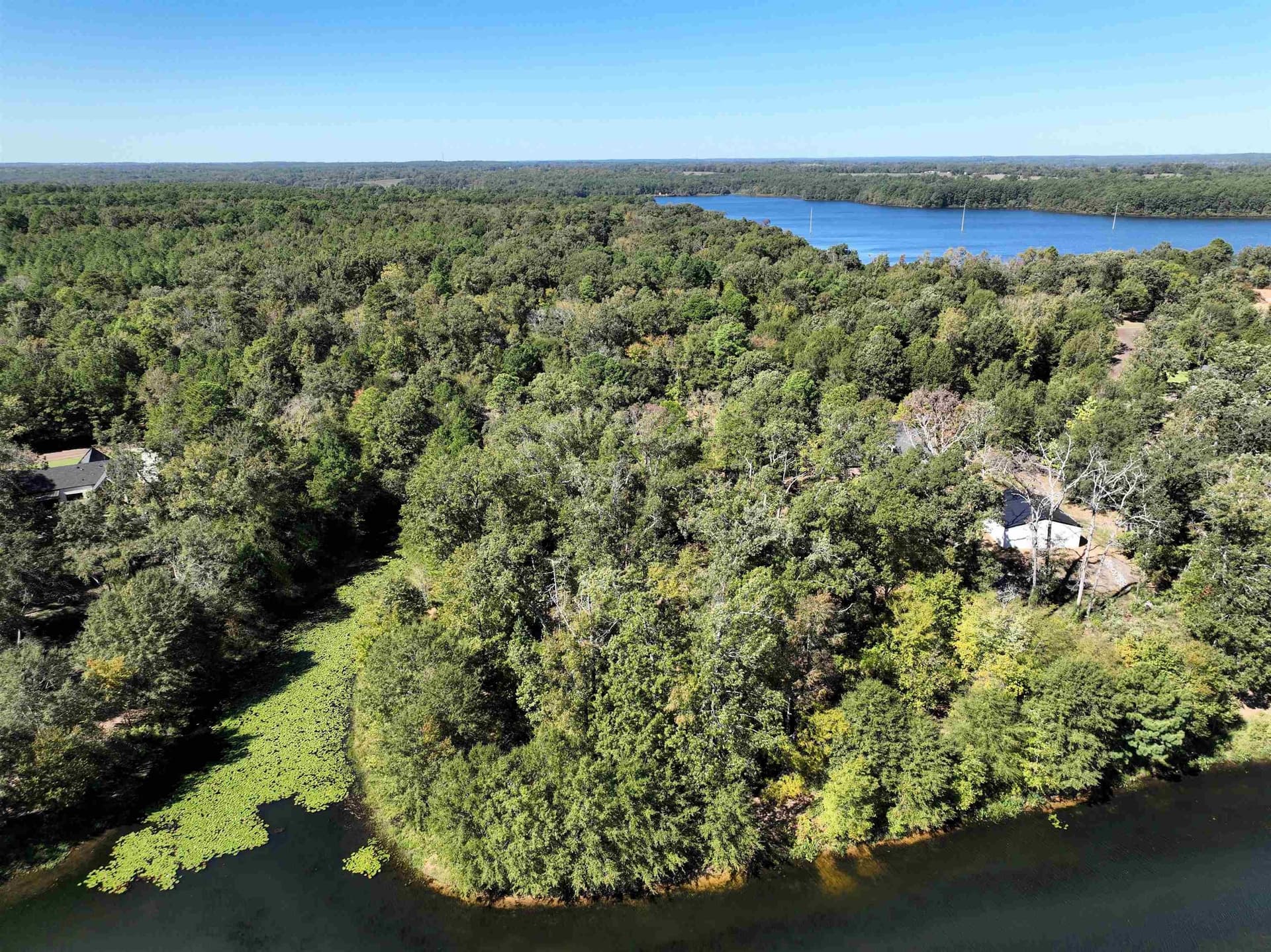 0.8 acres in Upshur County - photo 6