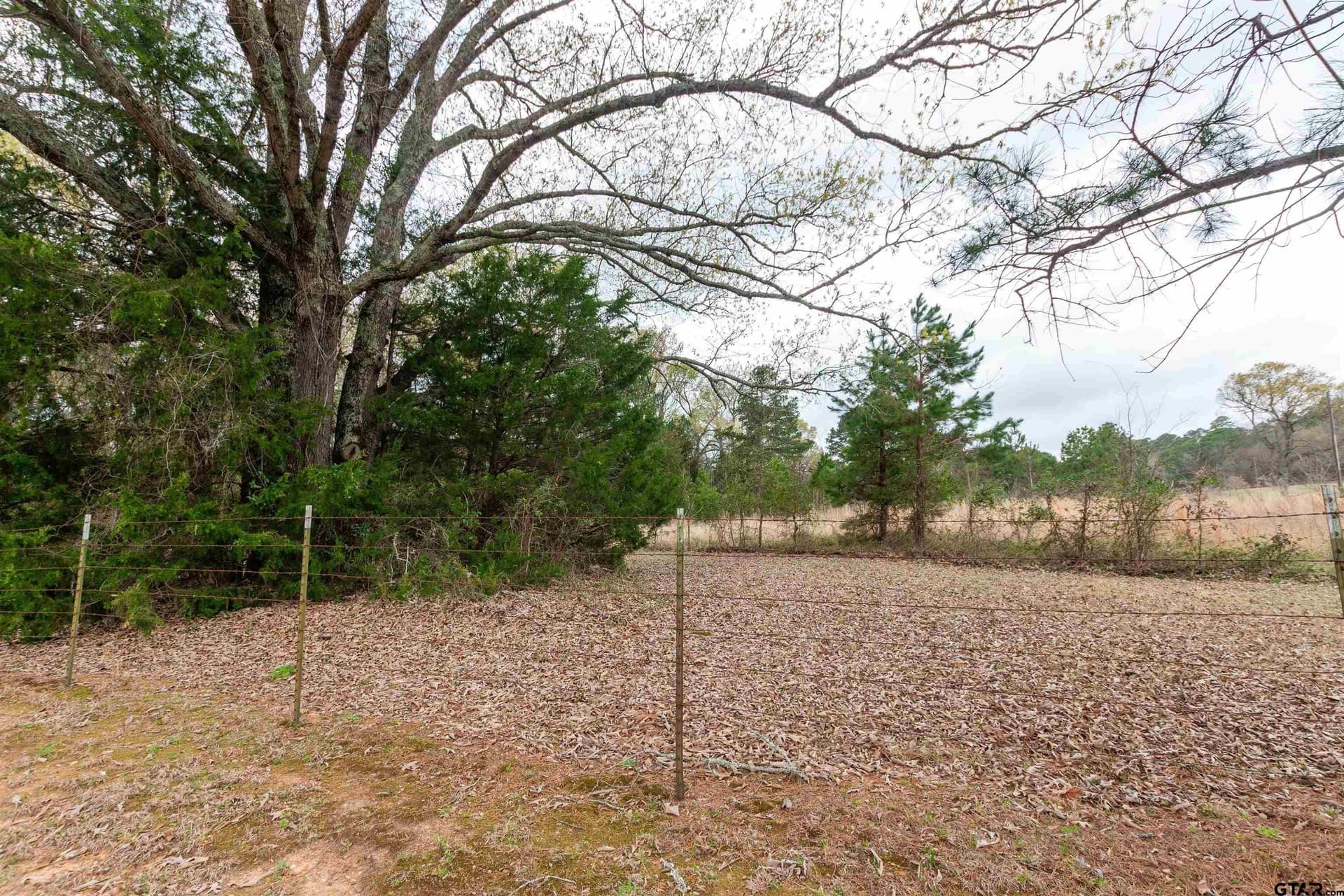 2.75 acres in Smith County