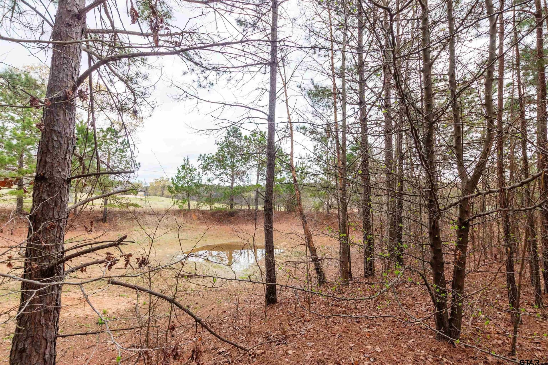 2.75 acres in Smith County featured view