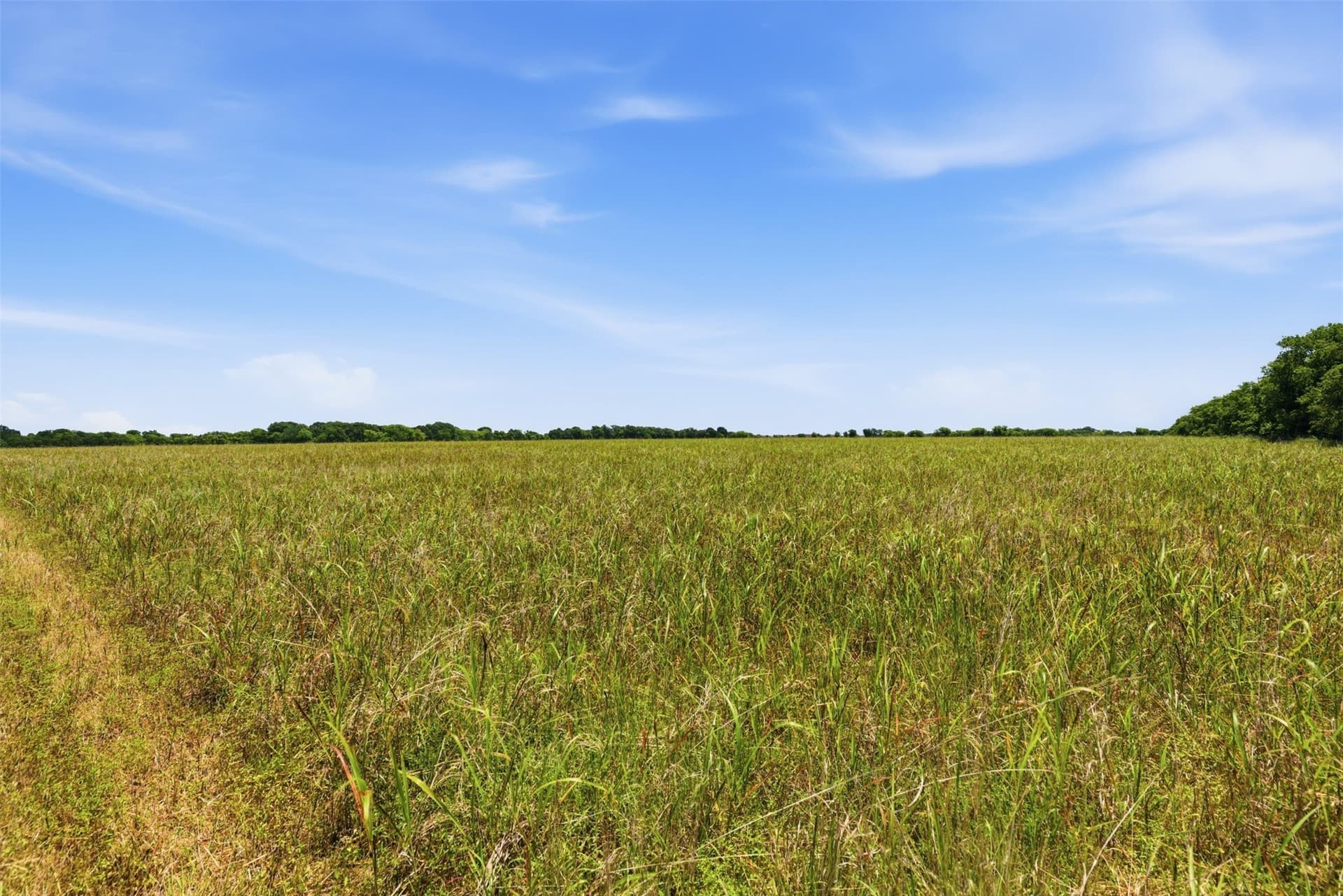 27.09 acres in Johnson County - photo 27
