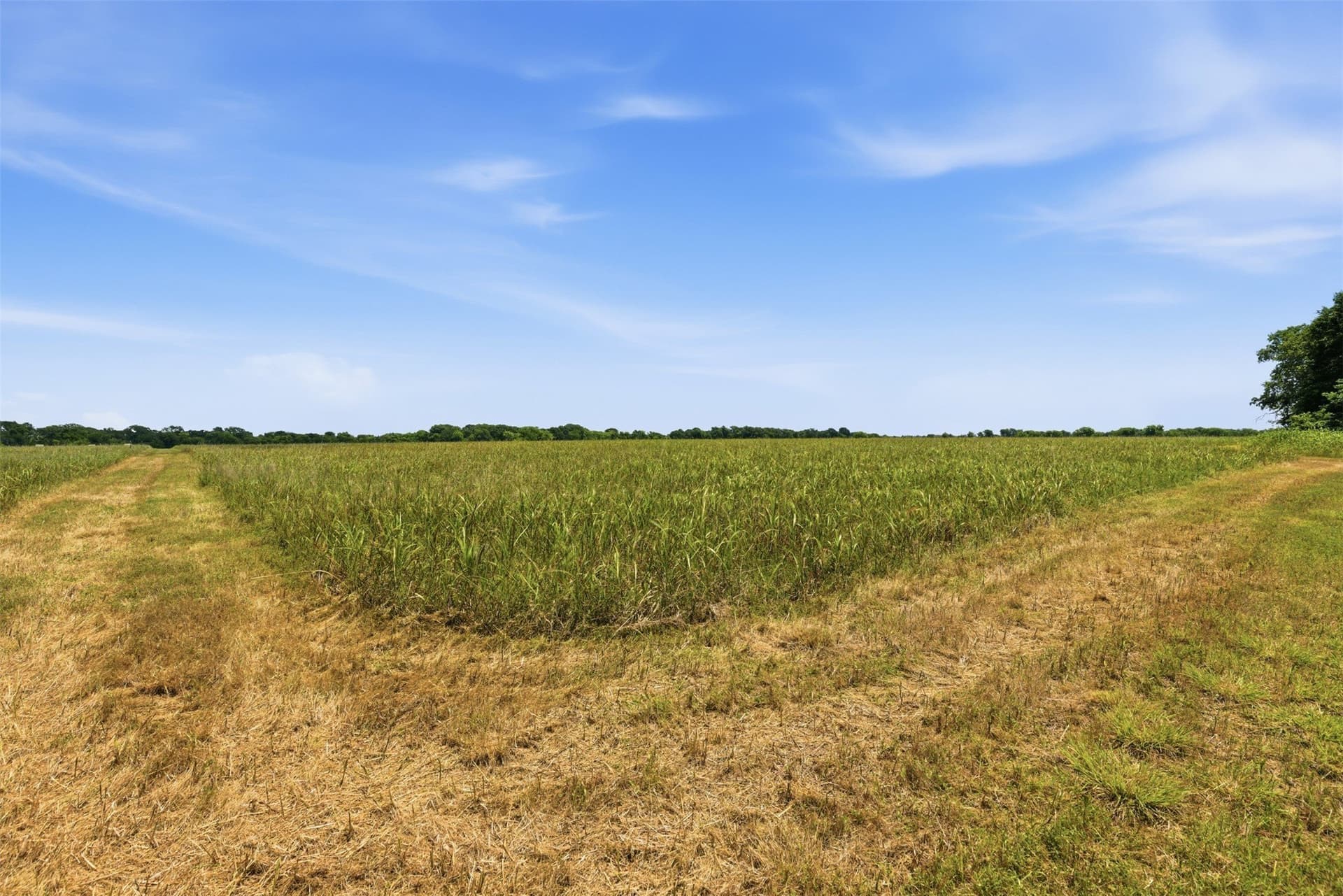 27.09 acres in Johnson County - photo 26