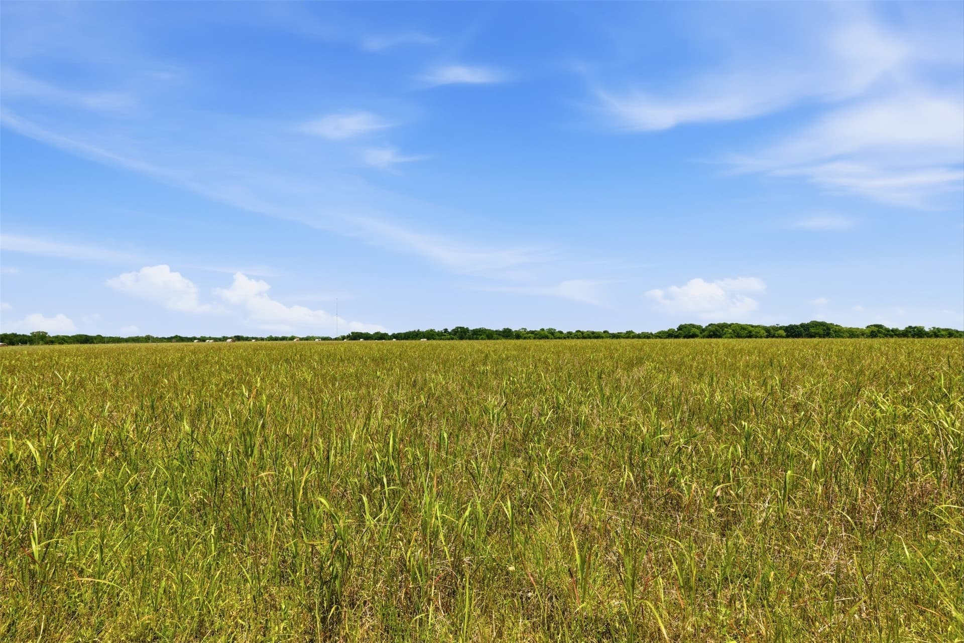 27.09 acres in Johnson County - photo 6