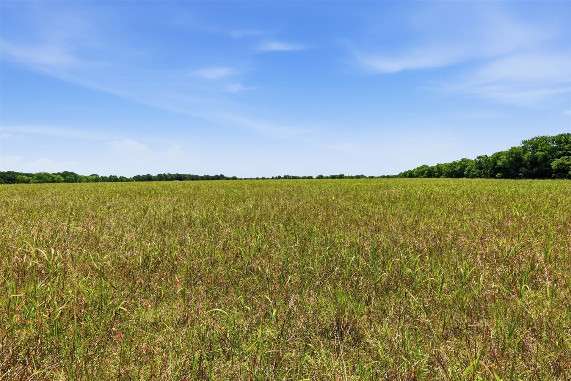 27.09 acres in Johnson County - photo 28