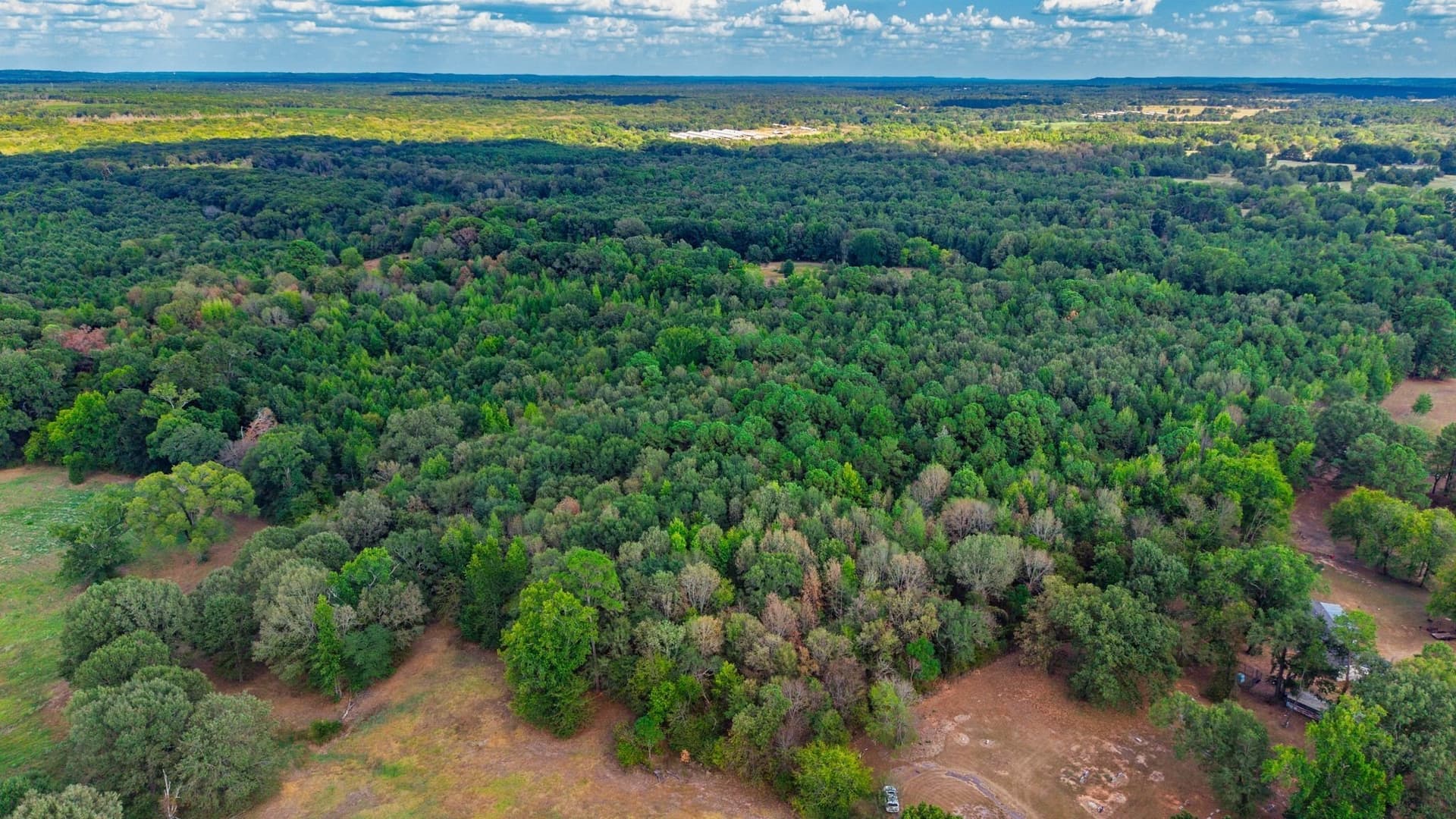 13.18 acres in Camp County - photo 6