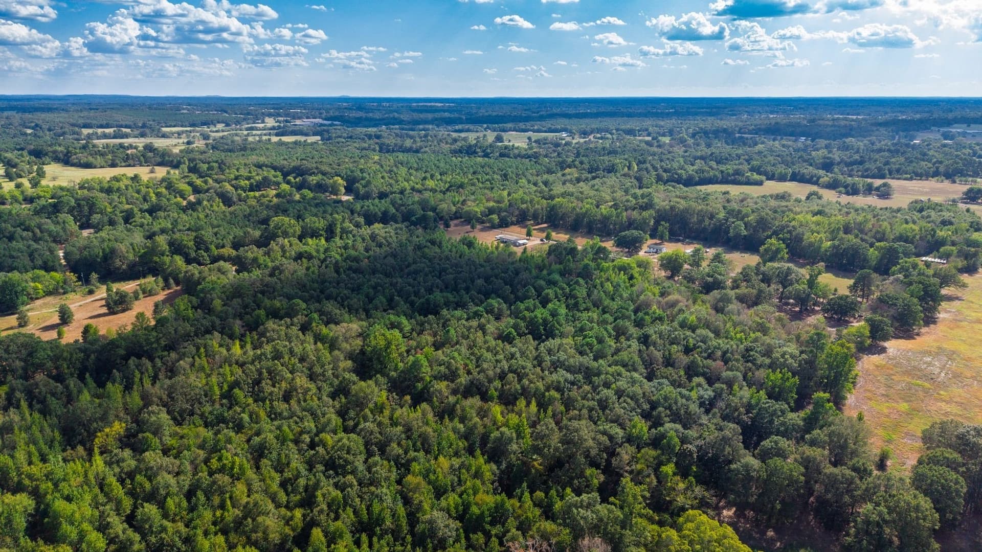 13.18 acres in Camp County - photo 10