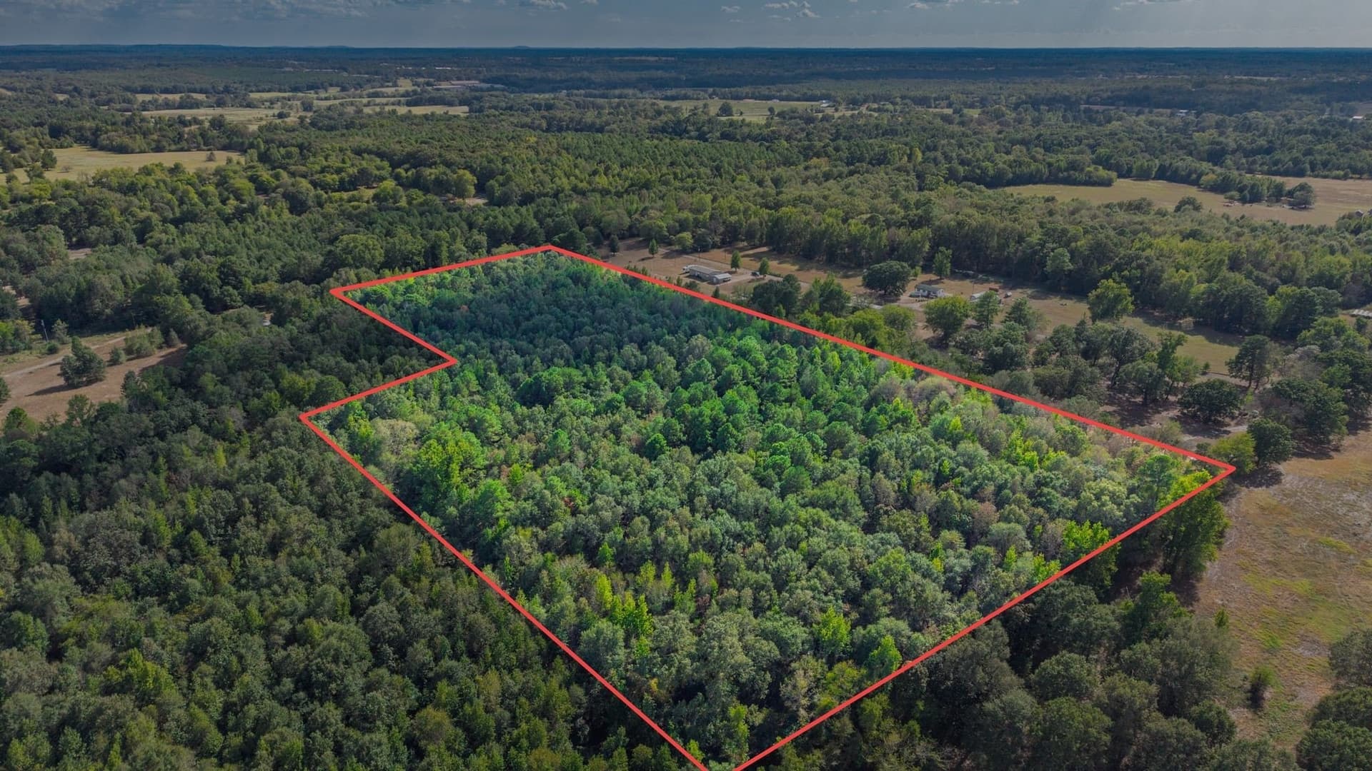 13.18 acres in Camp County - photo 4