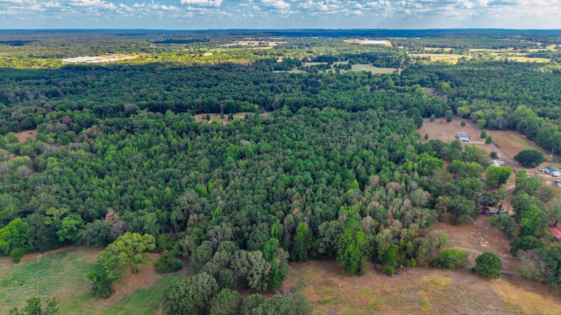 13.18 acres in Camp County - photo 7
