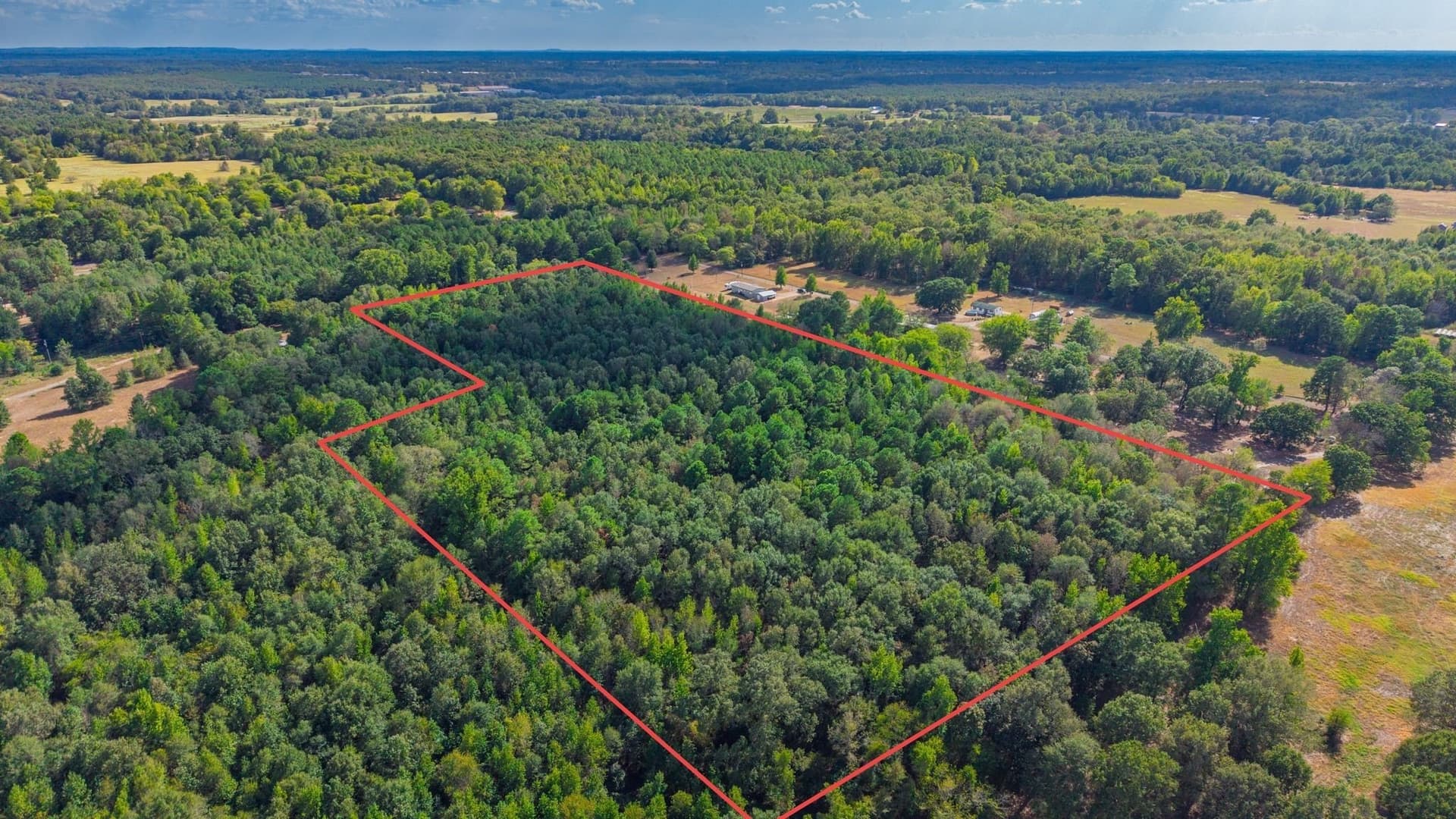 13.18 acres in Camp County - photo 3