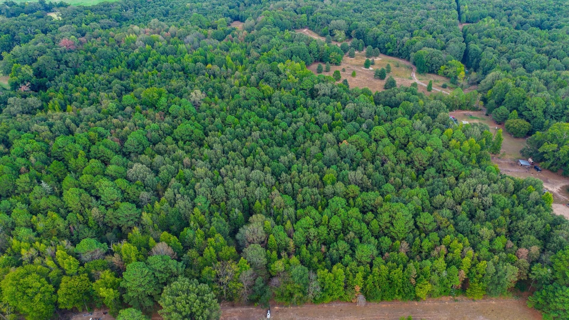 13.18 acres in Camp County - photo 8