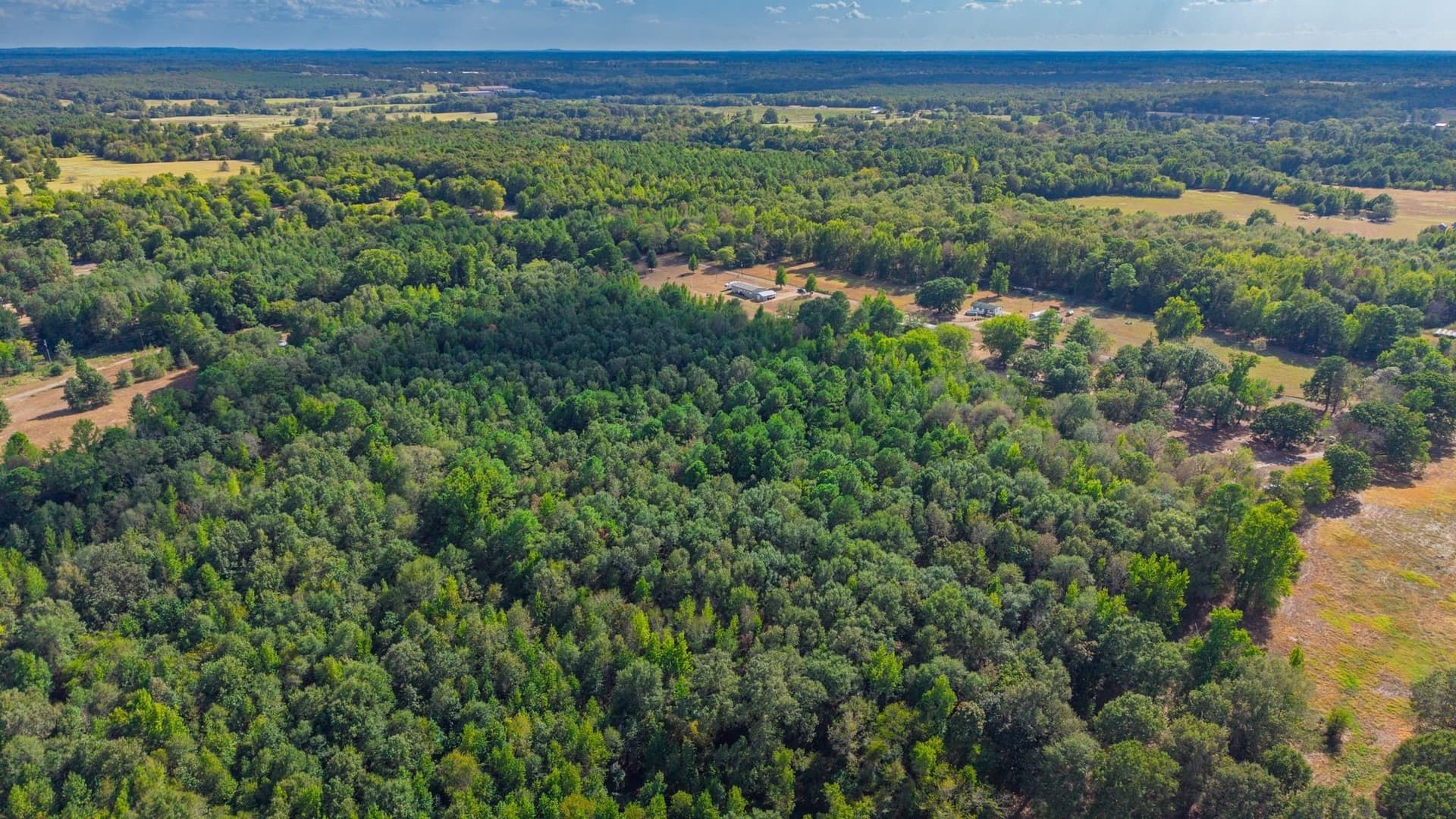 13.18 acres in Camp County - photo 9