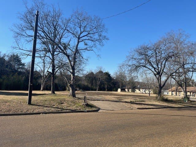 0.71 acres in Van Zandt County - photo 3